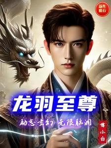 至尊龙爸江羽韩菲