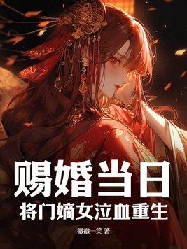 赐婚将军府