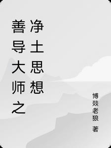 善导大师的净土思想视频23