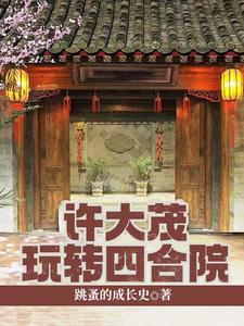 四合院神偷许大茂