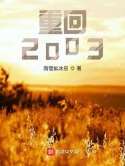 重回2003扫书