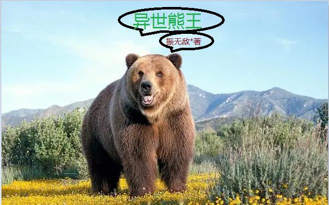 异世熊王百度百科