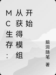 mc生存种子手机网易版