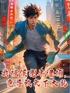 侯亮平怎么被诬陷的