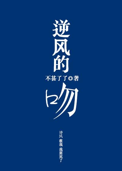 第二本逆风的吻 作者不甚了了