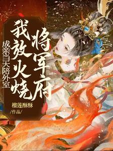 成亲当天陪外室我放火烧将军府 榴莲酥酥