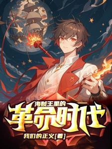 海贼王里的革命军是什么