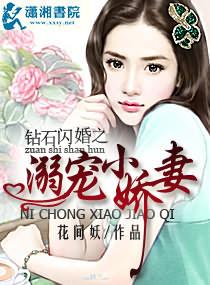 钻石闪婚之溺宠小娇妻全文阅读