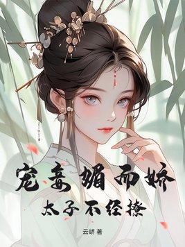 太子宠妾记