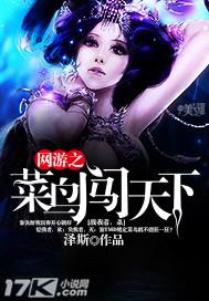 网游之菜鸟玩家的下一本是啥书?
