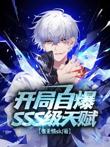 开局SSS级职业