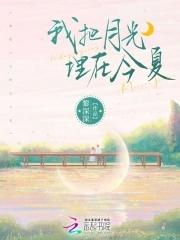 我想藏在月光里