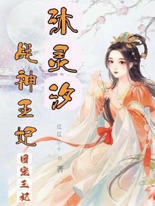 战王沐芷兮