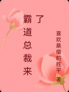 霸道总裁来过招