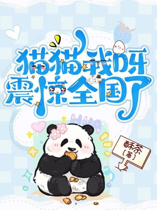 猫猫震惊表情包gif