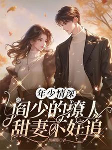 阎少宠妻无节制全章节正版