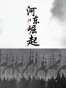 河东百科