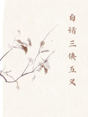 三侠五义说的是什么