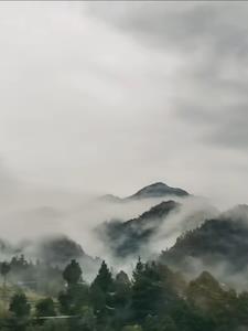 神秘复苏章节