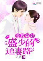盛少撩妻免费阅读