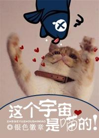 这个宇宙我是独一无二没有人能取代是什么歌