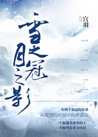 冠之雪原评测