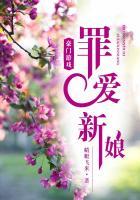 豪门罪爱