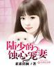 陆少的心尖宠妻全文阅读陆