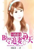 闪婚boss很神秘