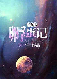 星际孵蛋指南系统