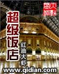 超级酒店大亨中文版