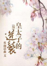 穿越的皇太子