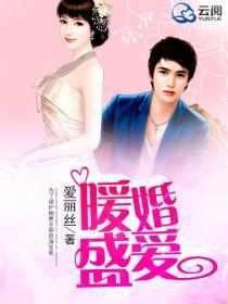 暖婚爱妻2016