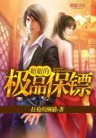 极品保镖第100集大结局