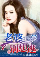 总裁追妻老婆你别闹