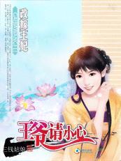 王妃改嫁王爷请小心gl