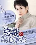 总裁的私有宝贝是什么