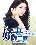 娇妻二嫁总裁宠不停
