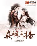武侠巅峰之上百科