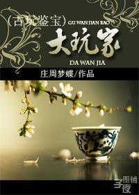 鉴宝大玩家123读