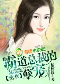 霸道总裁诱妻