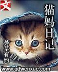 猫妈日记韩小月