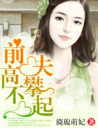 前夫高攀不起免费全集完整版