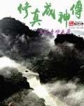 成神修炼手册在线阅读