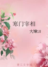 寒门宰相几个女主