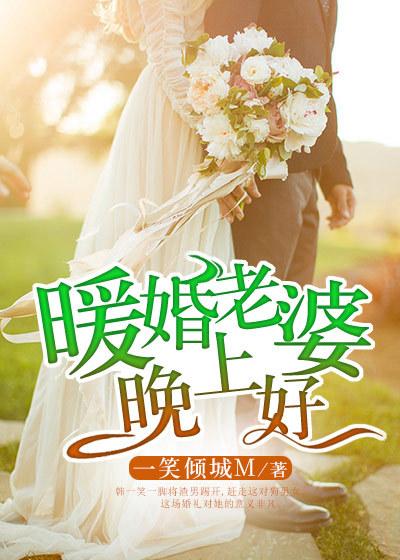 暖婚老婆晚上好电视剧全集