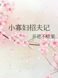 小寡妇招夫记